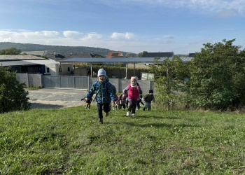 039f921a-03ca-45d0-a669-37314fcfc816.jpg.crdownload