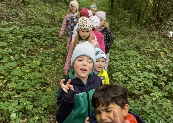 08c57206-ce66-444e-aa84-23ba66804383.jfif