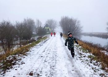 08f7552e-c53c-4e05-8bc2-c15c8c60af17.jfif