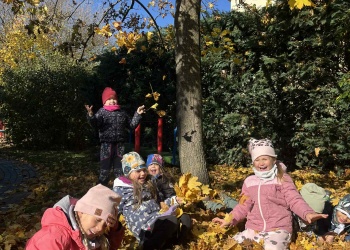 219165bf-83bc-4884-a989-1048c13d5485.jfif