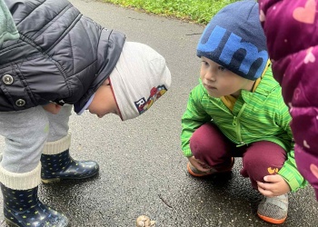 21d4bbca-cbe7-4fd4-b390-8010d7238c9e.jfif