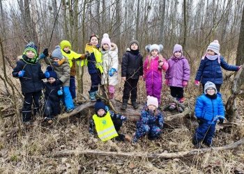 24a2b7bb-989a-451e-88ff-b81f633ed54b.jfif