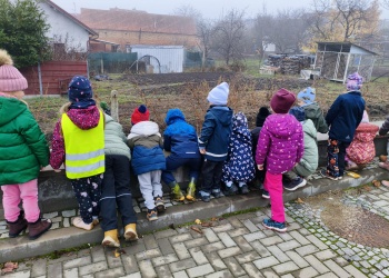 2888d64a-9fea-4c7e-a741-990801242da9.jpg.crdownload