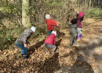 2fb5e1e3-00d6-40f7-aaf8-c37e0dd38925.jfif