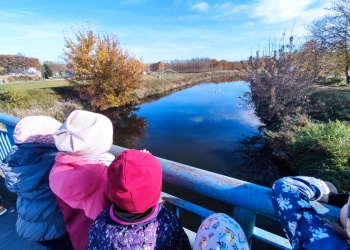 30c6f8ec-e499-4598-8353-39c3812fa0f0.jfif