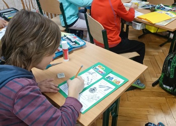 3cfa6261-227d-4335-9032-4059e7207f2a.jpg