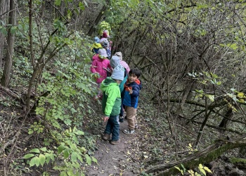 4e43f097-ff2b-4e07-bb6c-2b3851f41dc3.jfif