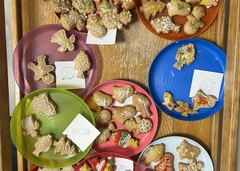 518b560a-9faf-42c6-900d-1183c68ba95f.jfif