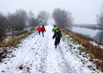 551c169d-95bf-4d8e-a38c-e3cbaea79c34.jfif