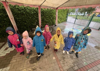 5d62ad29-7979-4664-969b-d611343a935d.jfif