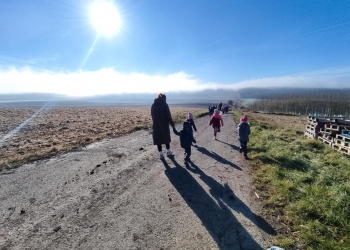 76c60d2d-5ee3-4da2-9db2-1006e9e3591b.jfif