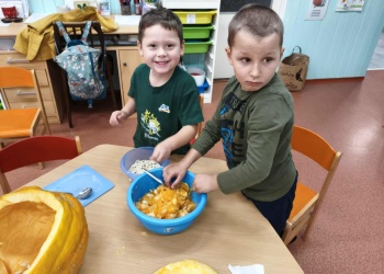 79b0683d-35d8-4049-aadf-f025f217d198.jfif