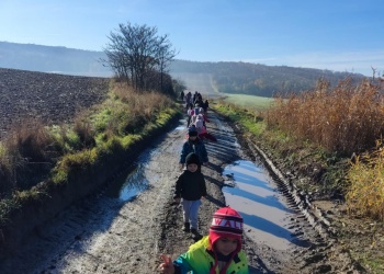 8c1685f6-9e7e-4674-9172-25721ea17758.jfif