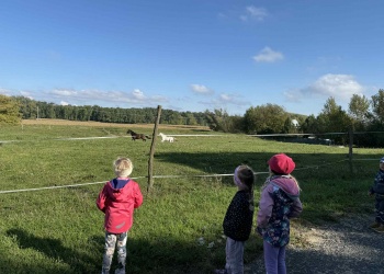 90ce818e-6985-42da-8ef0-e4d89c4f4b69.jpg.crdownload