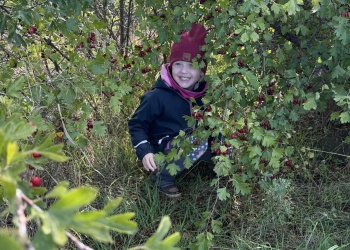 9570a06f-1587-4a23-b4ae-ce99b6a3f628.jpg.crdownload