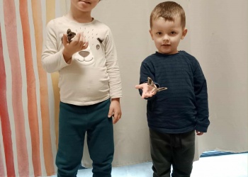 9beb637e-1050-4b23-8cd8-fae5d26e3115.jfif