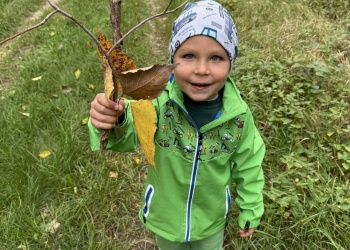 9dcdface-75ab-410a-9e4b-c0bb2b00f935.jpg.crdownload