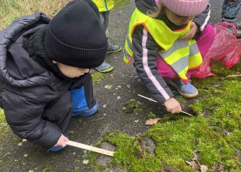 a4a6c2e4-bd2c-44eb-bd59-fa963f97d09a.jfif