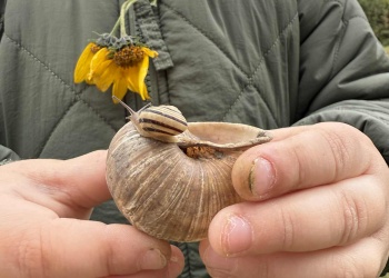 a918f207-624d-4b51-9e0e-a84489203a59.jfif