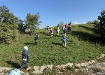 bf730a5f-99e8-4f84-9208-85f4e1f8a05d.jpg.crdownload