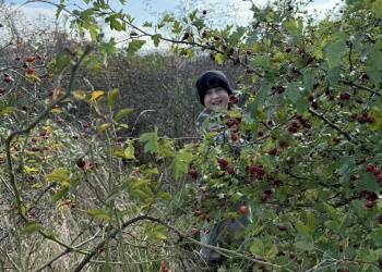 c019b0b9-b793-4ff5-9051-ab0b74673a03.jpg.crdownload