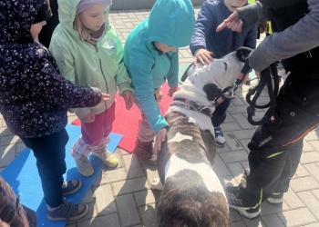 c36245c4504ab8c22d55364fa490d6de.jpeg