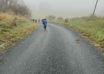 d6e9eb3f-a5ed-49fa-a290-276edfe4e504.jfif