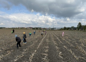 de3d877e-b5e6-4482-83fc-baa2fadff01f.jfif