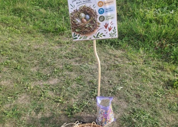 Drakiáda