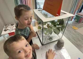 e605336d-49de-4fb9-9bda-62107f55bc41.jfif