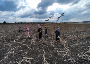 e9eeb82d-f6d0-46be-9578-999fd5d1086f.jpg.crdownload