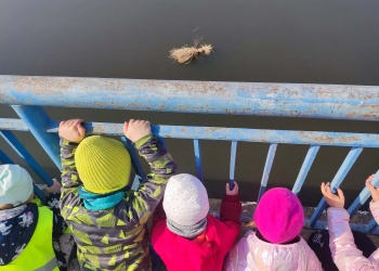 f872017a-8060-4e2f-9d3b-8e56496b9a72.jfif