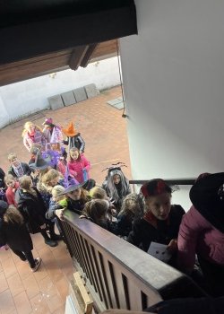 IMG_3637.jpeg
