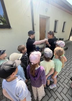 IMG_7754.jpeg